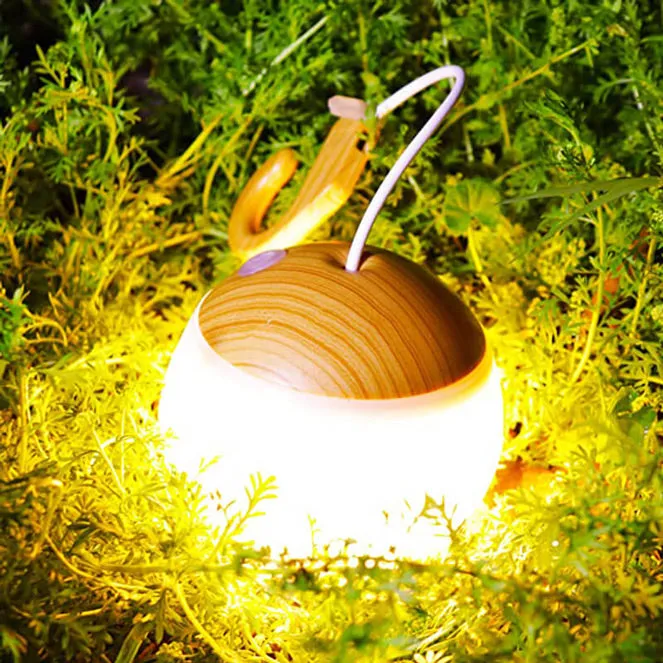 LED Camping Tent Light With RGB Light 2 Pack