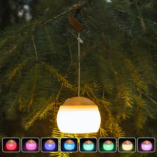 LED Camping Tent Light With RGB Light 2 Pack