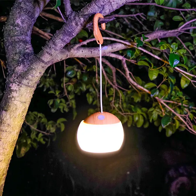 LED Camping Tent Light With RGB Light 2 Pack