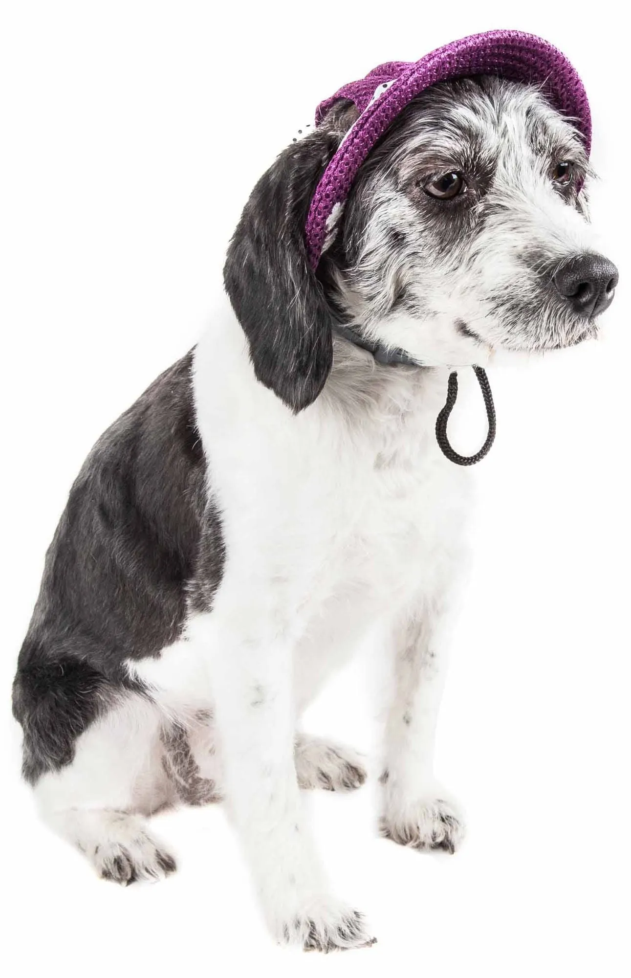 Pet Life Uv Protecting Adjustable Dog Hat