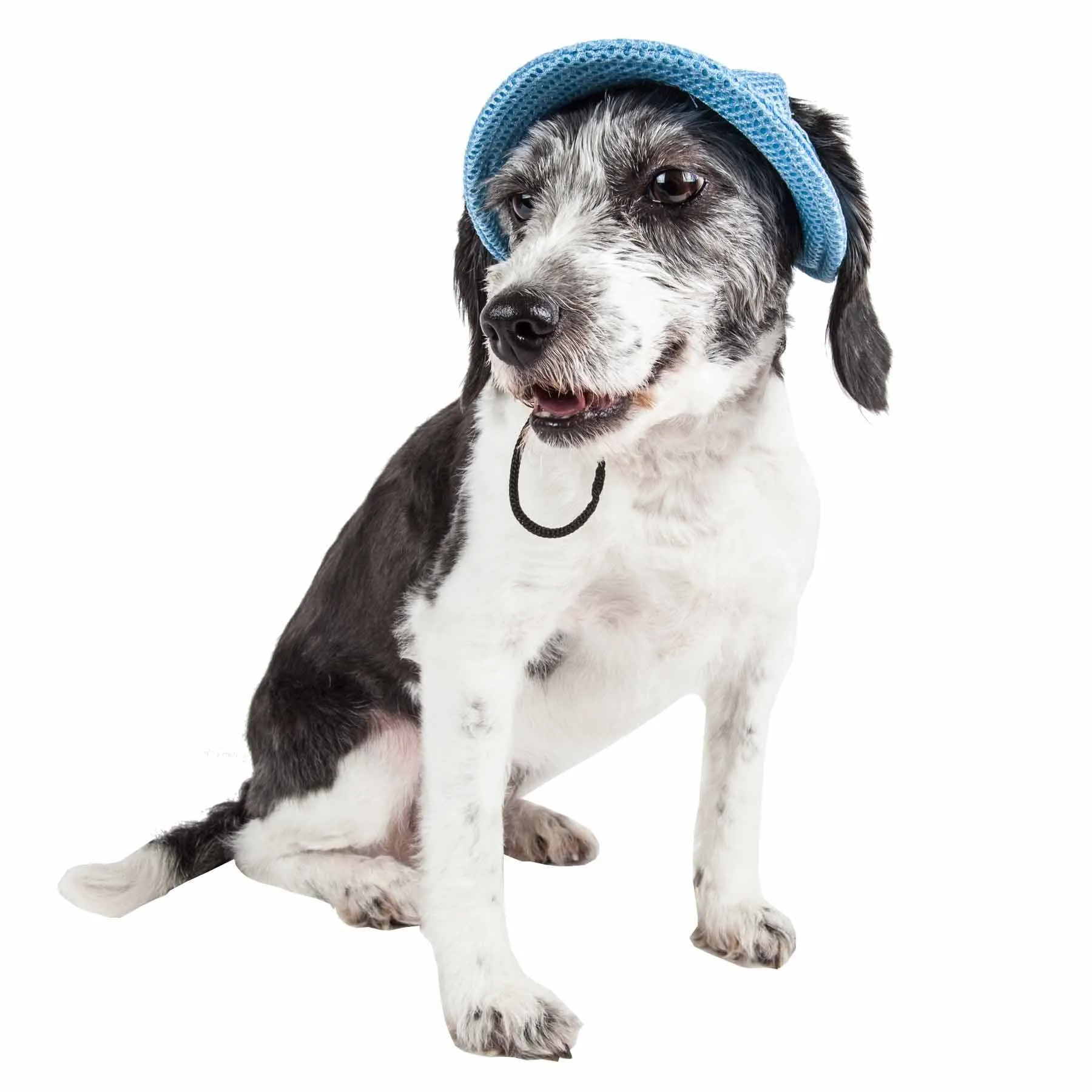 Pet Life Uv Protecting Adjustable Dog Hat