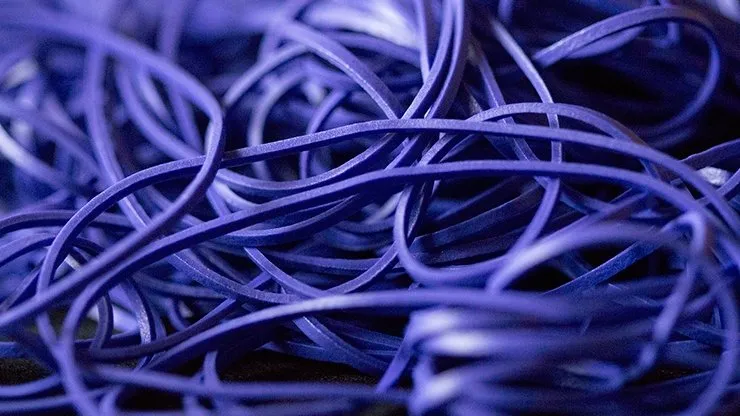 Rainbow Rubber Bands - Deep Purple Size 16 by Joe Rindfleisch